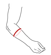 size-chart-forearm